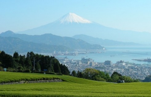 【静岡県静岡市】チャレンジしたい人が絶対気になる！【私×起業×静岡市】